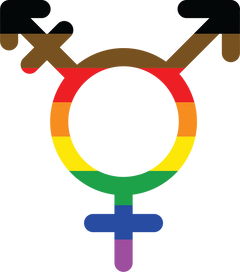 Transfeminism Rainbow LGBT Pride Flag Icon
